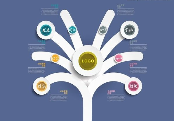 企業(yè)發(fā)展戰(zhàn)略最注重的