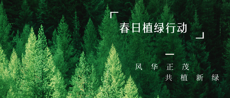 基泰集團(tuán)開展2023春日植綠行動(dòng)