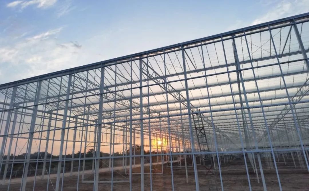 最新進(jìn)展！