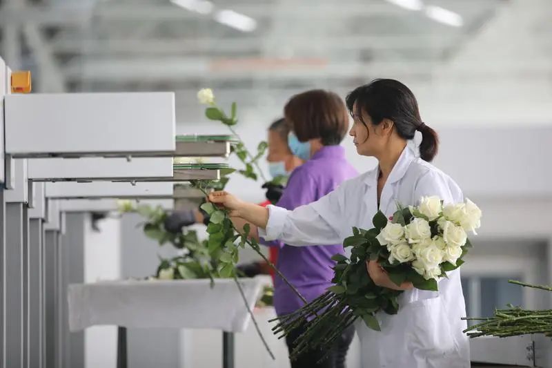 群眾新聞報道基泰園藝！