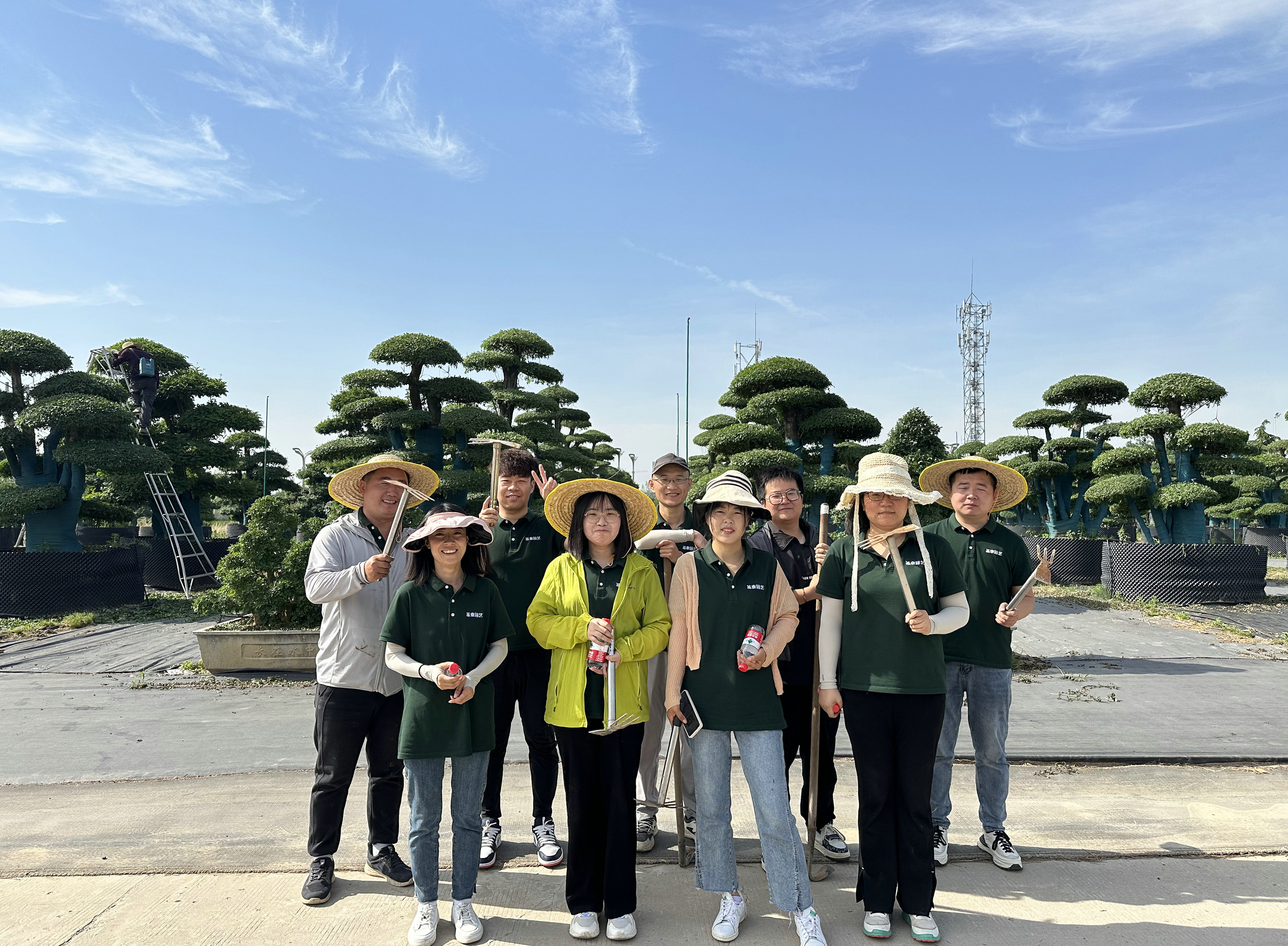 沉浸式體驗 | 來場心靈“森”呼吸！